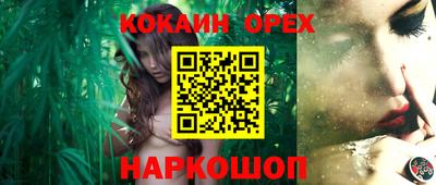 крисы Кунгур