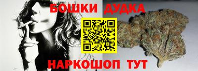 крисы Кунгур