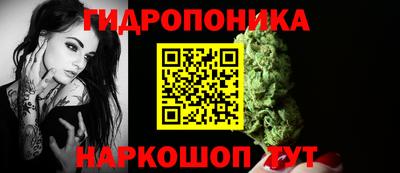 крисы Кунгур